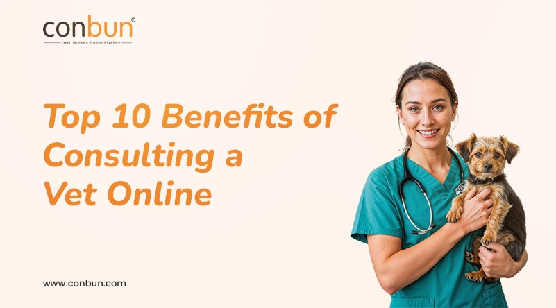 10 Benefits of booking vet consultation online vs. in-person visits?